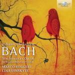 J. C. Bach: Sonatas For Harpsichord And Violin w sklepie internetowym Booknet.net.pl
