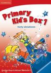 Primary Kid's Box Level 1 Flashcards Polish w sklepie internetowym Booknet.net.pl