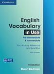 English Vocabulary in Use Pre-intermediate and Intermediate Vocabulary reference and practice w sklepie internetowym Booknet.net.pl