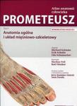 Prometeusz Atlas anatomii człowieka Tom 1 w sklepie internetowym Booknet.net.pl