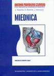 Miednica -anatomia prwwaidłowa w sklepie internetowym Booknet.net.pl