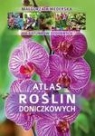 Atlas roślin doniczkowych. 200 gatunków w sklepie internetowym Booknet.net.pl
