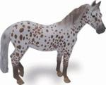 Klacz British Spotted Pony maści kasztan Leopard XL w sklepie internetowym Booknet.net.pl