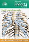 Anatomia Sobotta Flashcards Kości stawy i więzadła w sklepie internetowym Booknet.net.pl