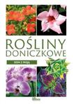 Dom z pasją. Rośliny doniczkowe w sklepie internetowym Booknet.net.pl