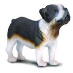 Pies rasy buldog M w sklepie internetowym Booknet.net.pl