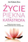 Życie. Piękna katastrofa. Wydanie 3 w sklepie internetowym Booknet.net.pl