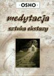 Medytacja sztuka ekstazy w sklepie internetowym Booknet.net.pl