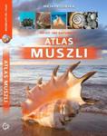 Atlas muszli w sklepie internetowym Booknet.net.pl