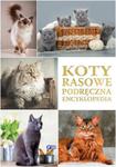 Koty rasowe w sklepie internetowym Booknet.net.pl