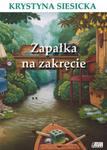 Zapałka na zakręcie w sklepie internetowym Booknet.net.pl