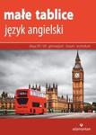 Małe tablice Język angielski 2017 w sklepie internetowym Booknet.net.pl