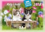 Kalendarz rodzinny 2018 WL 9 Koty i kotki w sklepie internetowym Booknet.net.pl