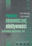 Podstawy ekonomicznej efektywności podziemnej eksploatacji złóż w sklepie internetowym Booknet.net.pl