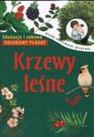 Krzewy leśne w sklepie internetowym Booknet.net.pl