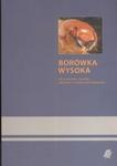 Borówka wysoka w sklepie internetowym Booknet.net.pl