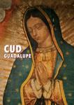 Cud Guadalupe w sklepie internetowym Booknet.net.pl