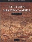 Kultura mezopotamska a Biblia w sklepie internetowym Booknet.net.pl