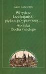 Wirydarz krześcijański pięknie przyprawiony Apoteka Ducha świętego w sklepie internetowym Booknet.net.pl