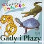 Gady i płazy Moje pierwsze słówka w sklepie internetowym Booknet.net.pl