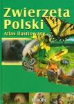 Zwierzęta Polski Atlas ilustrowany w sklepie internetowym Booknet.net.pl