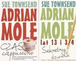 Adrian Mole lat 13 i 3/4. Sekretny dziennik w sklepie internetowym Booknet.net.pl