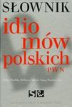 Słownik idiomów polskich PWN w sklepie internetowym Booknet.net.pl