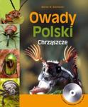Owady Polski Chrząszcze w sklepie internetowym Booknet.net.pl