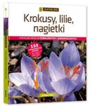 Krokusy, lilie, nagietki. w sklepie internetowym Booknet.net.pl
