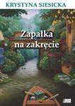 Zapałka na zakręcie w sklepie internetowym Booknet.net.pl