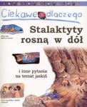 Ciekawe dlaczego stalaktyty rosną w dół i inne pytania na temat jaskiń w sklepie internetowym Booknet.net.pl