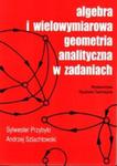 Algebra i wielowymiarowa geometria analityczna w zadaniach w sklepie internetowym Booknet.net.pl