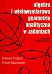 Algebra i wielowymiarowa geometria analityczna w zadaniach w sklepie internetowym Booknet.net.pl