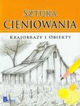 Sztuka cieniowania Krajobrazy i obiekty w sklepie internetowym Booknet.net.pl