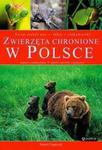 Zwierzęta chronione w Polsce w sklepie internetowym Booknet.net.pl