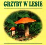 Grzyby w lesie w sklepie internetowym Booknet.net.pl