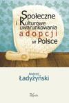 Społeczne i kulturowe uwarunkowania adopcji w Polsce w sklepie internetowym Booknet.net.pl
