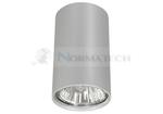 Sufitowa oprawa lampa punktowa Industrialna Loft EYE SILVER S 5257 NOWODVORSKI Lighting GU10 tuba spot natynkowa nowoczesna oświetleniowa nowoczesna metal do Kuchni Jadalni szara srebrna Inspiracje w sklepie internetowym Normatech