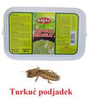 Środek na turkucia podjadka, na krety, na kreta, 1 kg, w sklepie internetowym AgaPulapki
