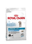 ROYAL CANIN URBAN LIFE JUNIOR LARGE 3 kg w sklepie internetowym Telekarma.pl