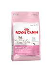 ROYAL CANIN FELINE BABYCAT 34 400 g w sklepie internetowym Telekarma.pl