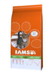 IAMS CAT PROACTIVE HEALTH KARMA DLA KOTA - z jagnięciną i kurczakiem 1,5 kg w sklepie internetowym Telekarma.pl