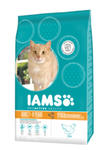 IAMS CAT PROACTIVE HEALTH LIGHT KARMA DLA KOTÓW STERYLIZOWANYCH I Z NADWAGĄ 10 kg w sklepie internetowym Telekarma.pl