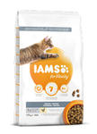 IAMS FOR VITALITY INDOOR KARMA DLA KOTA 10 kg w sklepie internetowym Telekarma.pl