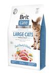 BRIT CARE CAT GRAIN FREE LARGE CATS POWER / VITALITY KARMA DLA KOTA 2 kg w sklepie internetowym Telekarma.pl