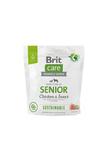 BRIT CARE SUSTAINABLE SENIOR CHICKEN INSECT KARMA DLA PSA 1 kg w sklepie internetowym Telekarma.pl