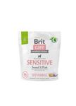 BRIT CARE SUSTAINABLE SENSITIVE INSECT FISH KARMA DLA PSA 1 kg w sklepie internetowym Telekarma.pl