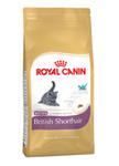 ROYAL CANIN FELINE BREED BRITISH SHORTHAIR KITTEN 400 g w sklepie internetowym Telekarma.pl