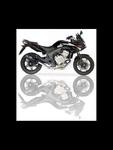 Tłumik motocyklowy IXIL HEXOVAL XTREM CARBONO COV Honda CBF 600 [04-11](PC38) w sklepie internetowym Defender.net.pl