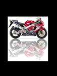 Tłumik motocyklowy IXIL HEXOVAL XTREM CARBONO COV Honda CBR 900RR [98-99](SC33) w sklepie internetowym Defender.net.pl